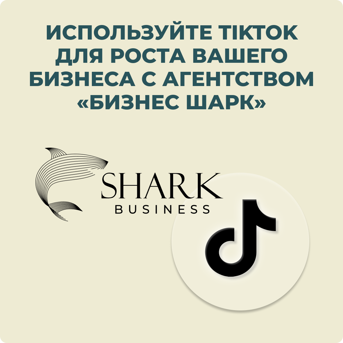 Используйте TikTok для роста вашего бизнеса с агентством Бизнес Шарк
