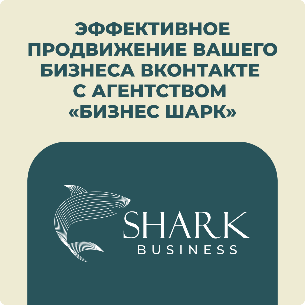 Эффективное продвижение вашего бизнеса ВКонтакте с агентством «Бизнес Шарк»